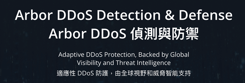 DDoS的完整解決方案 DDoS的完整解決方案