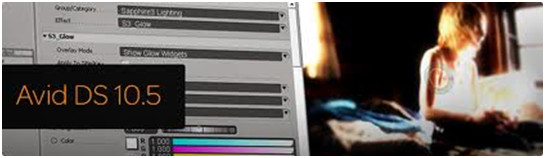 Avid DS