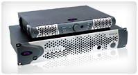 Avid DS