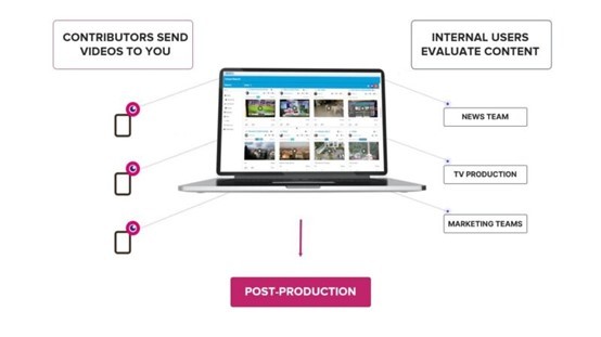 iReporter