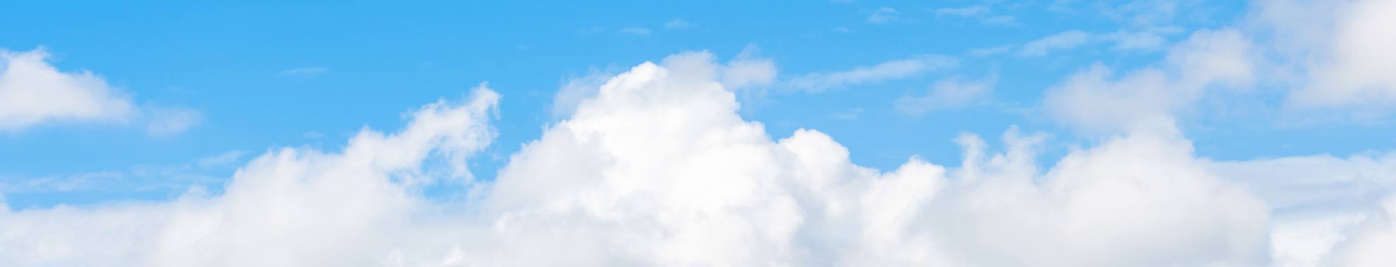 Company Introduction Company Introduction